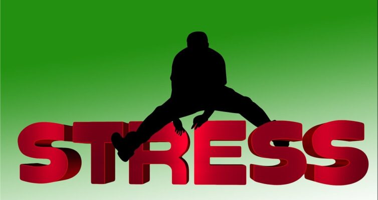 An image of a person in silhouette Stradling big red letters spelling STRESS - re overcoming PTSD. Image by Gerd Altmann